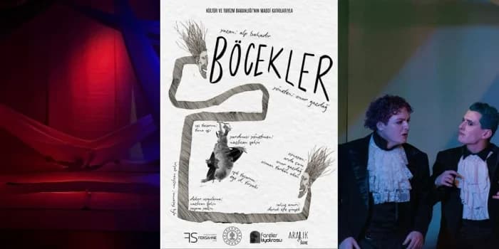 Böcekler