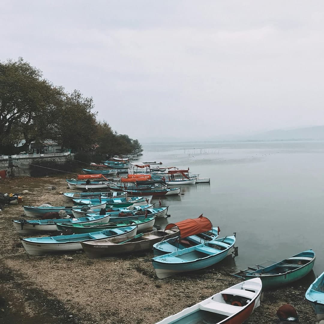 Nilüfer
