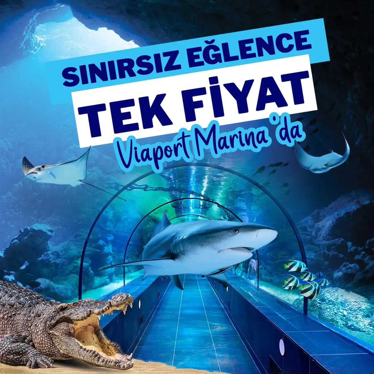 ViaSea Akvaryum