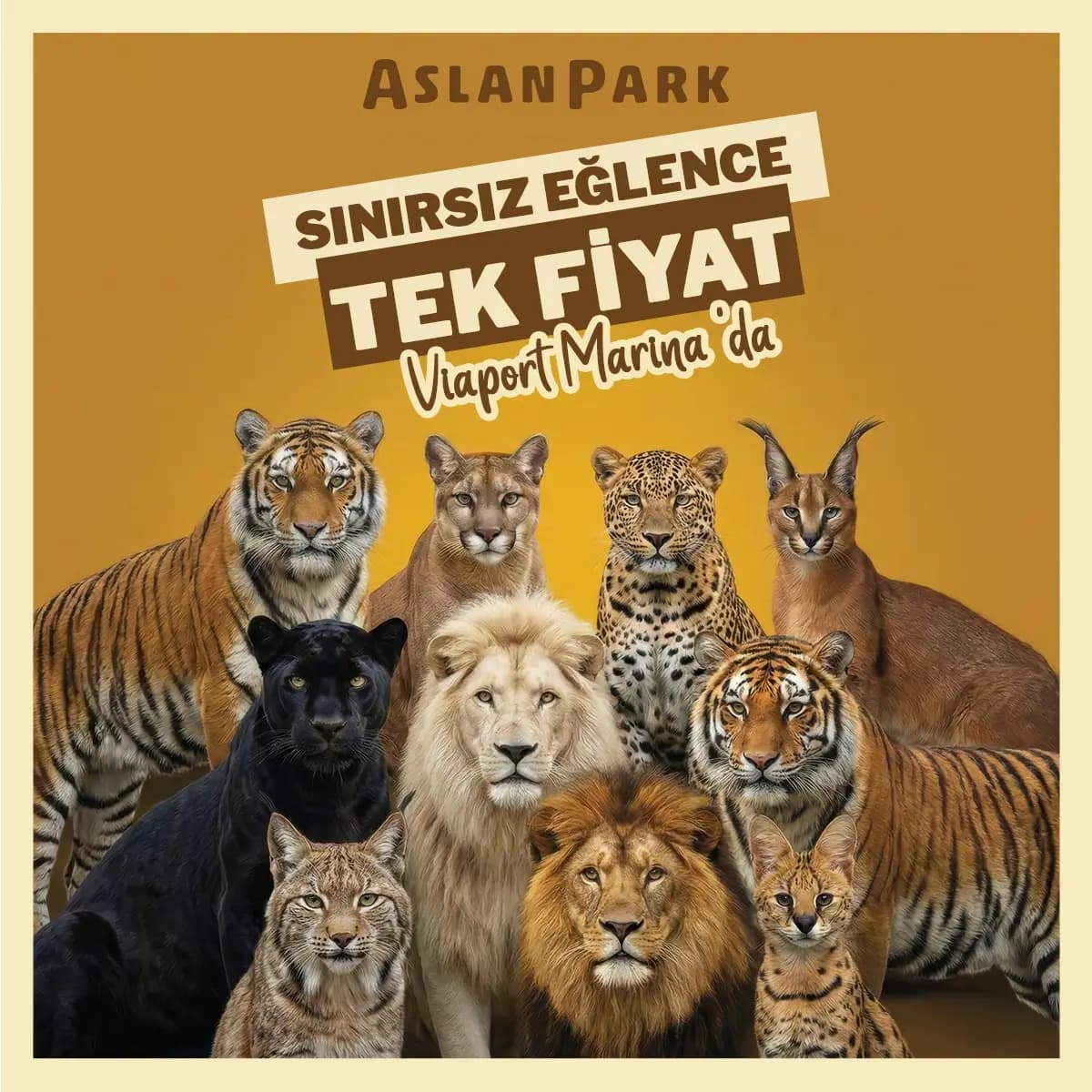 Aslan Park