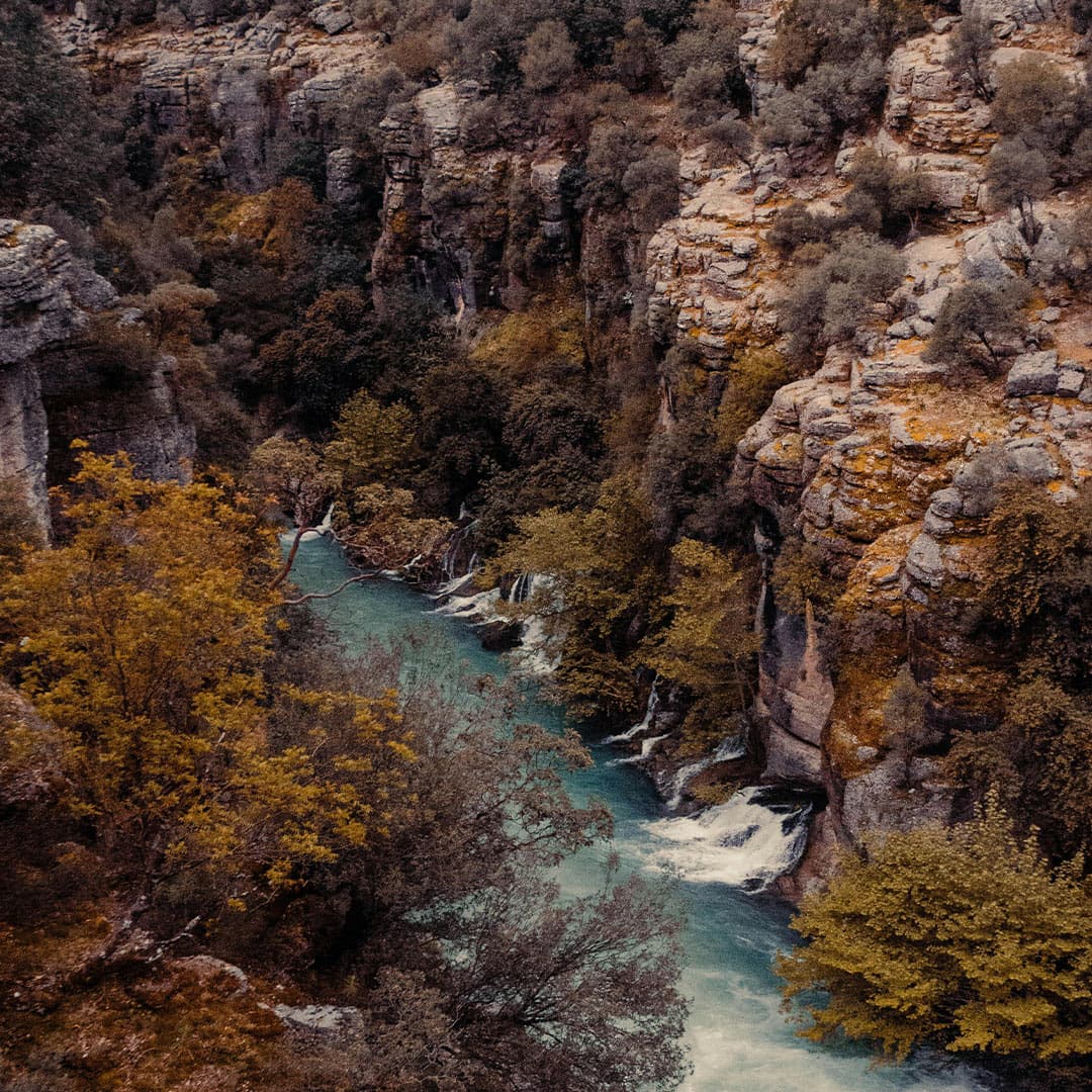 Beşkonak