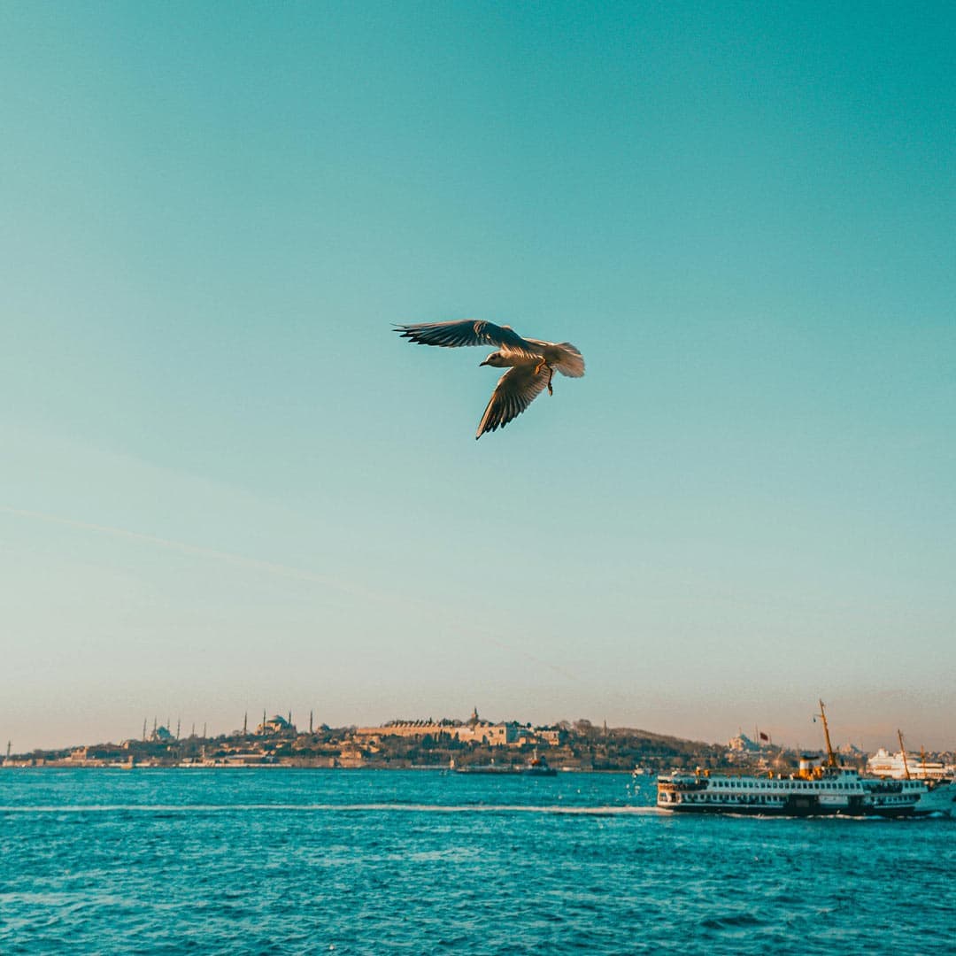 Kadıköy