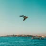 KADIKÖY