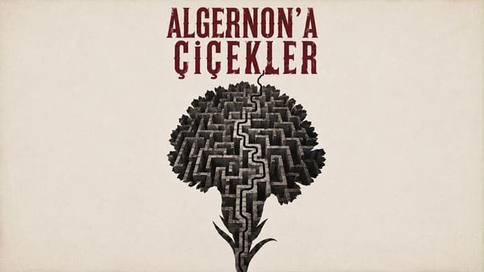 Algernon’a Çiçekler