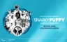 Snarky Puppy