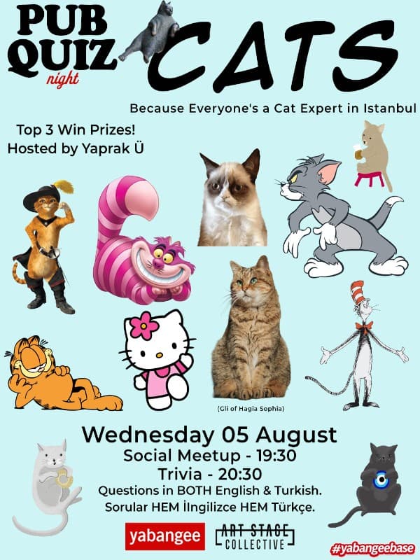 Pub Quiz on Cats: Questions in English & Turkish