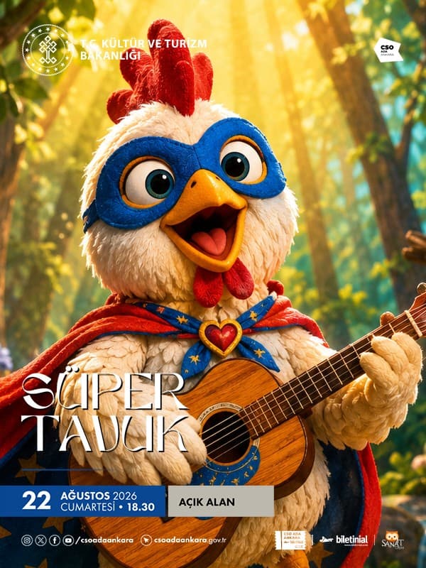 Süper Tavuk