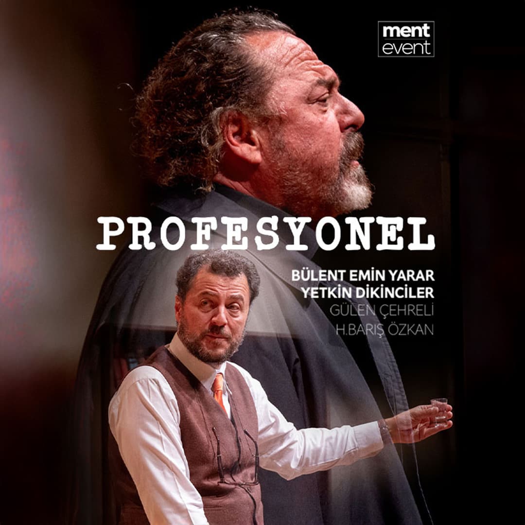 Profesyonel