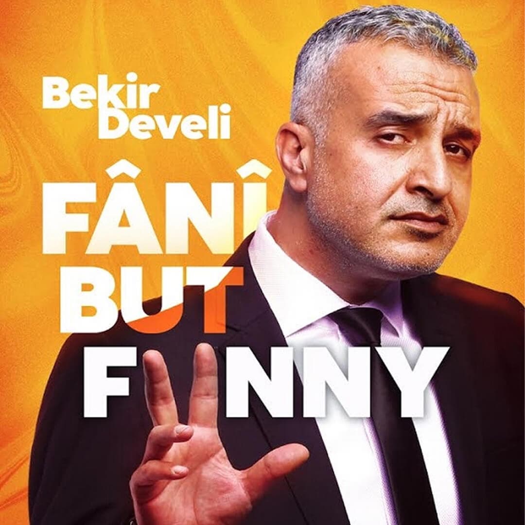 Fani But Funny