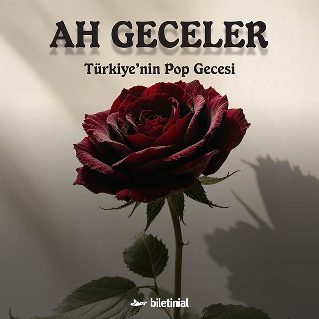 Ah Geceler