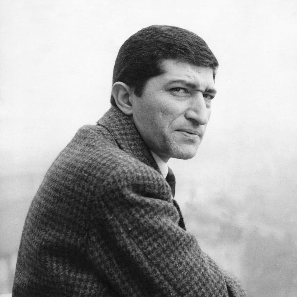 Nicola Zarić