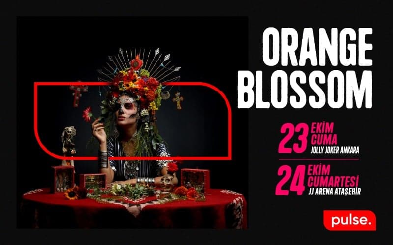 Orange Blossom