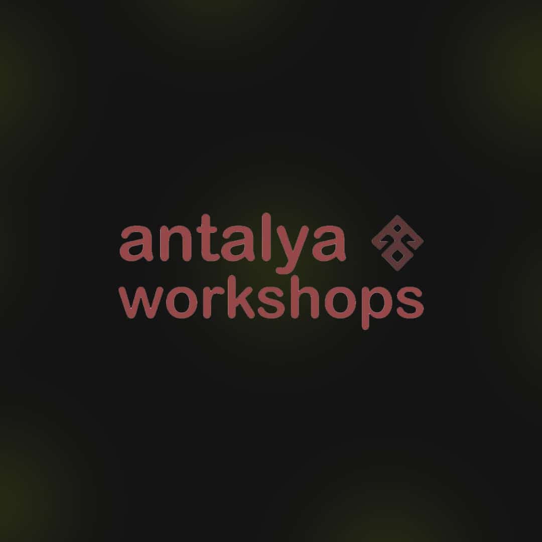 Antalya Workshop Experience