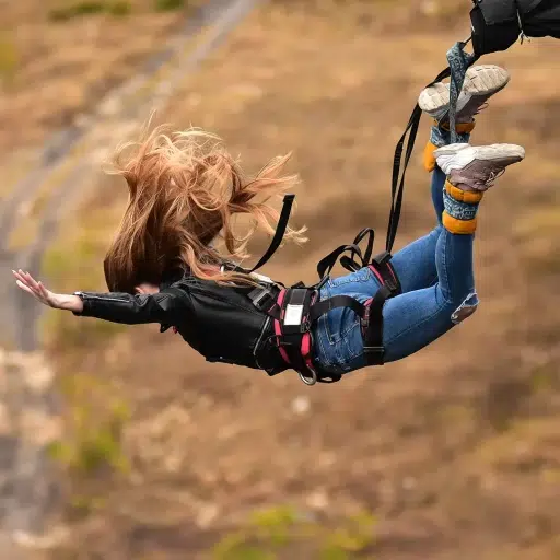 MaxFun Dev Salıncak