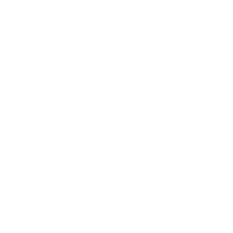 Vidipass Logo
