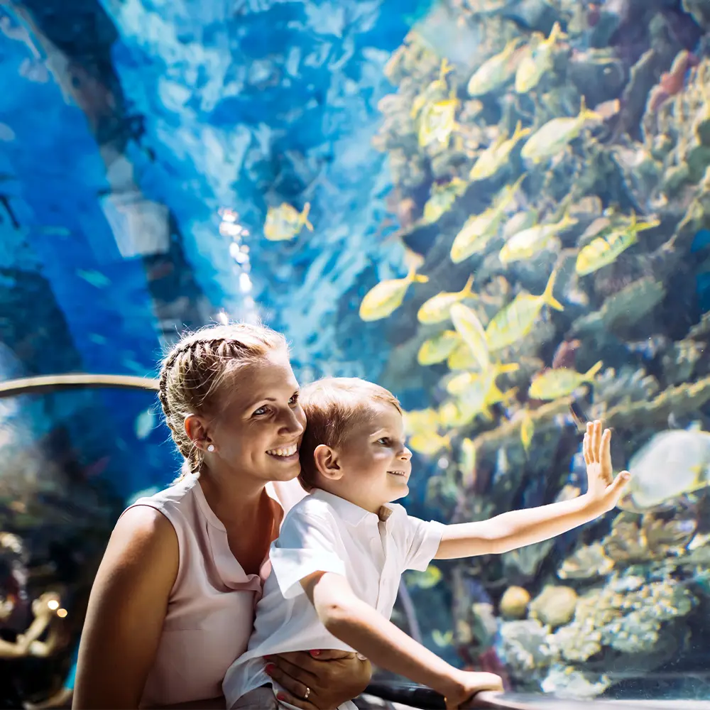 Emaar Akvaryum & Sualtı Hayvanat Bahçesi