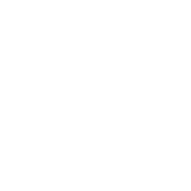 Viofun Logo